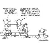 www.cartoonist.com.au